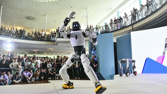Humanoide Roboter: Man braucht kein Gesicht, um Wäsche zu falten