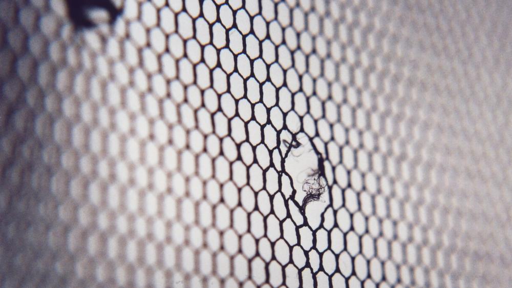 Cybersicherheitsstrategie: Sicherheitslücke im Netz: Die Bundesregierung will schnelle Eingreiftruppen einrichten. 