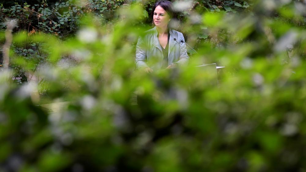 falschmeldungen-faktenpr-fer-sehen-annalena-baerbock-als-hauptziel-von