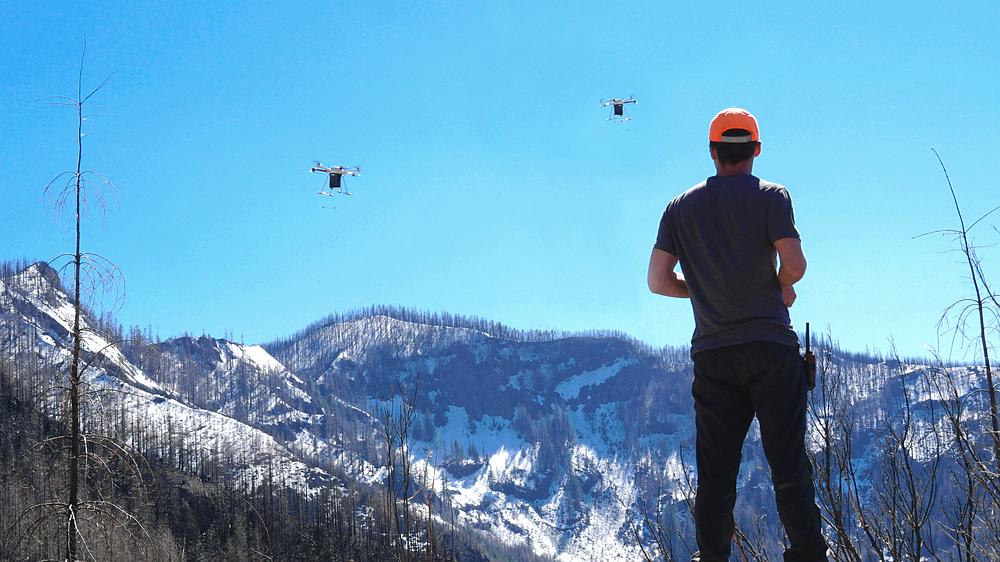 Das US-Unternehmen DroneSeed wirft per Drohnen "Samenbomben" ab, um die Aufforstung zu beschleunigen. 