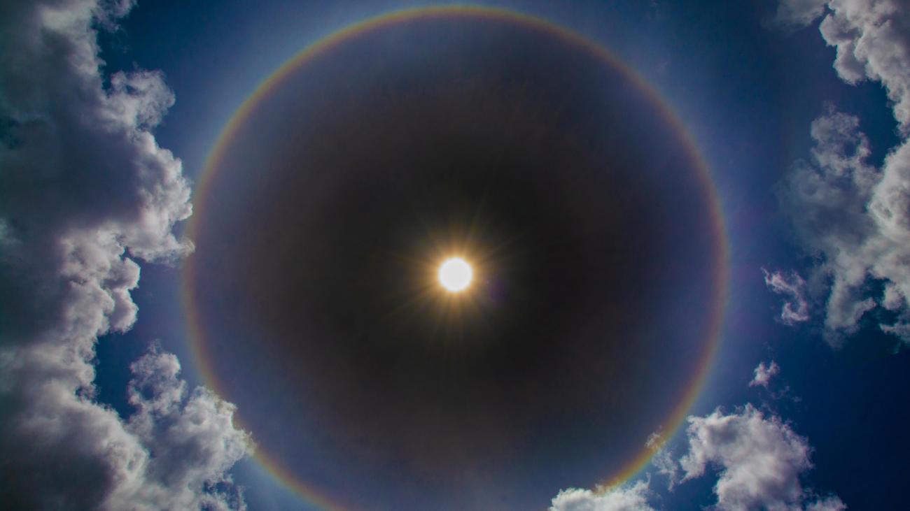 Künstliche Intelligenz: Anthropic könnte 2026 mehr Umsatz machen als OpenAI