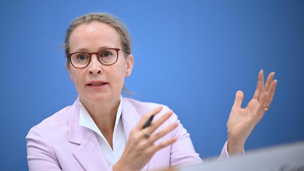 social-media-juristin-brosius-gersdorf-fordert-besseren-schutz-vor