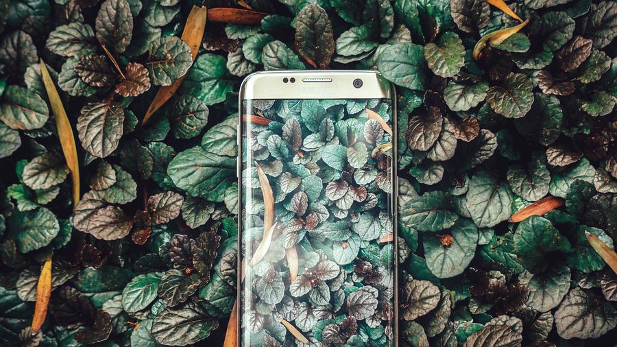 Smartphone Aufraumen In Neun Schritten Zum Smartphone Seelenheil Zeit Online