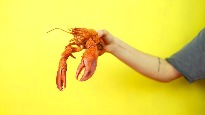 Jordan Peterson: Vorbild der Schwammköpfe  