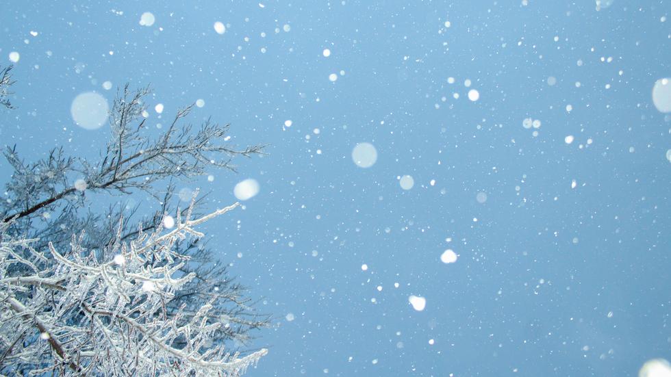 Weiße Weihnachten: Schneelose Enttäuschung  ZEIT ONLINE