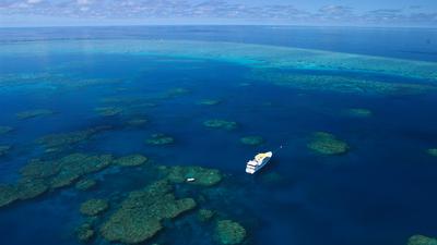 Great Barrier Reef Im Giftschrank Der Welt Zeit Online