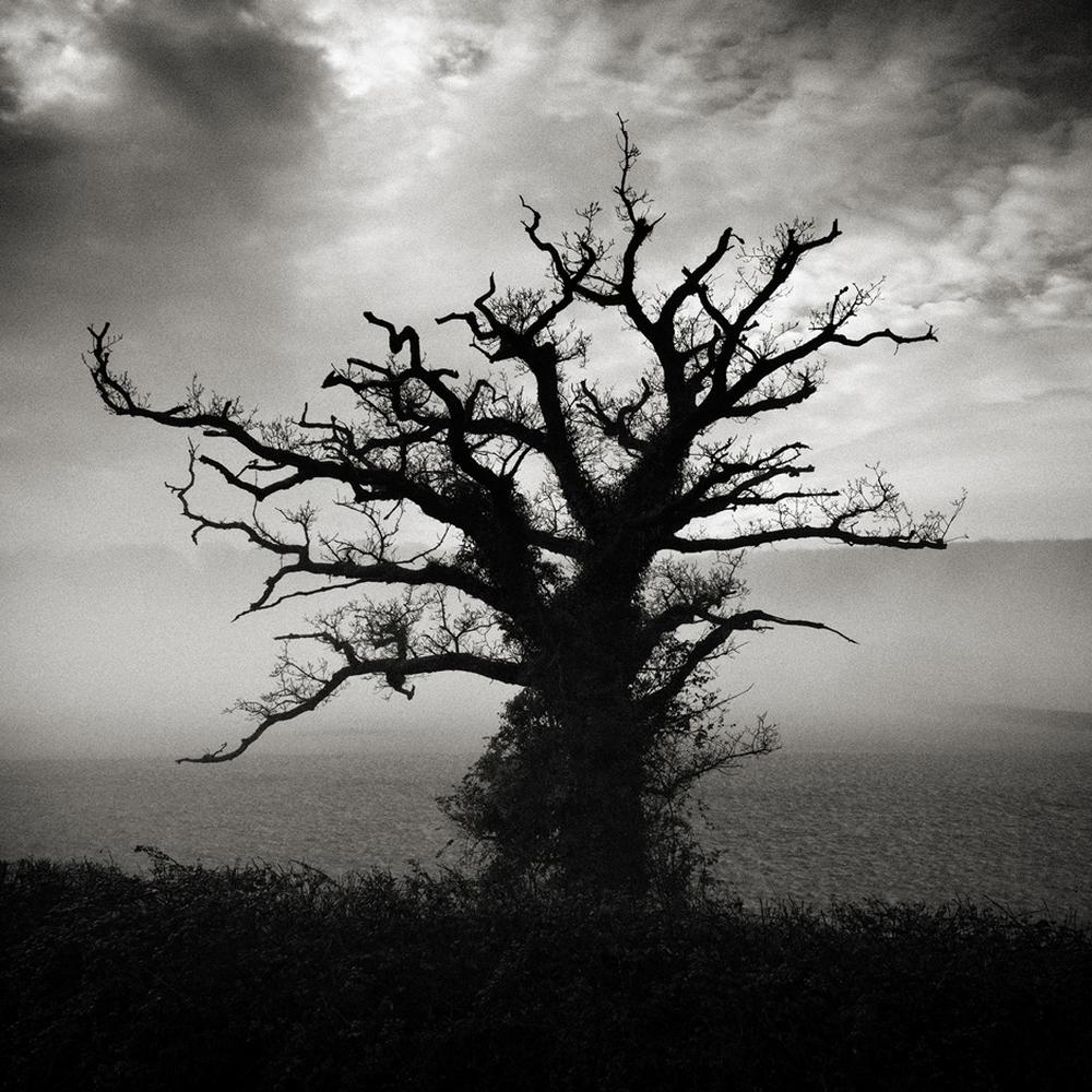 Håkan Strand Halt, stehen bleiben! ZEIT ONLINE