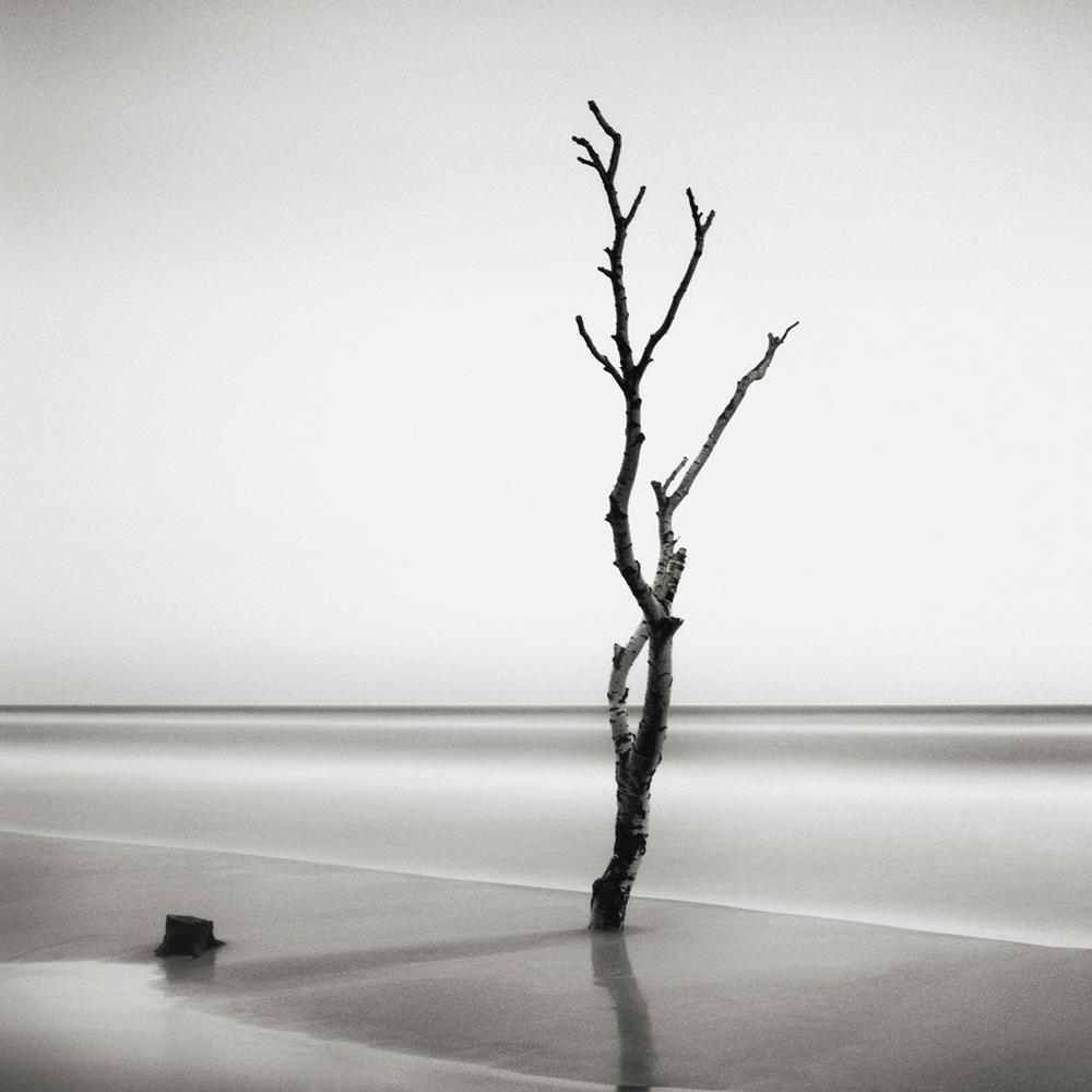 Håkan Strand Halt, stehen bleiben! ZEIT ONLINE