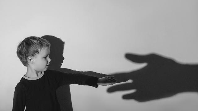 (+) Wolfgang Schmidbauer: 