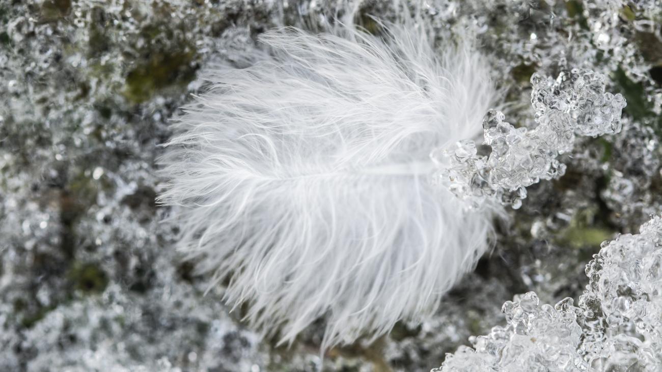 Vätercoaching: Ich bin Vater, gebt mir einen Coach