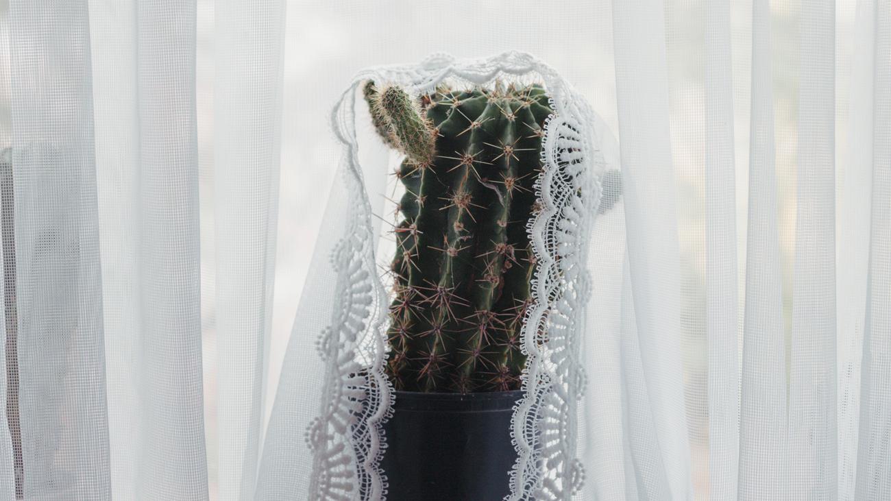 Vater-Tochter-Beziehung: Zwischen Vätern und Töchtern liegt eine Kluft