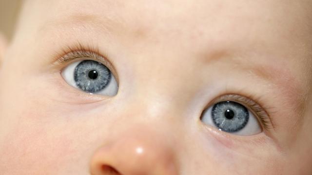 original__640x360