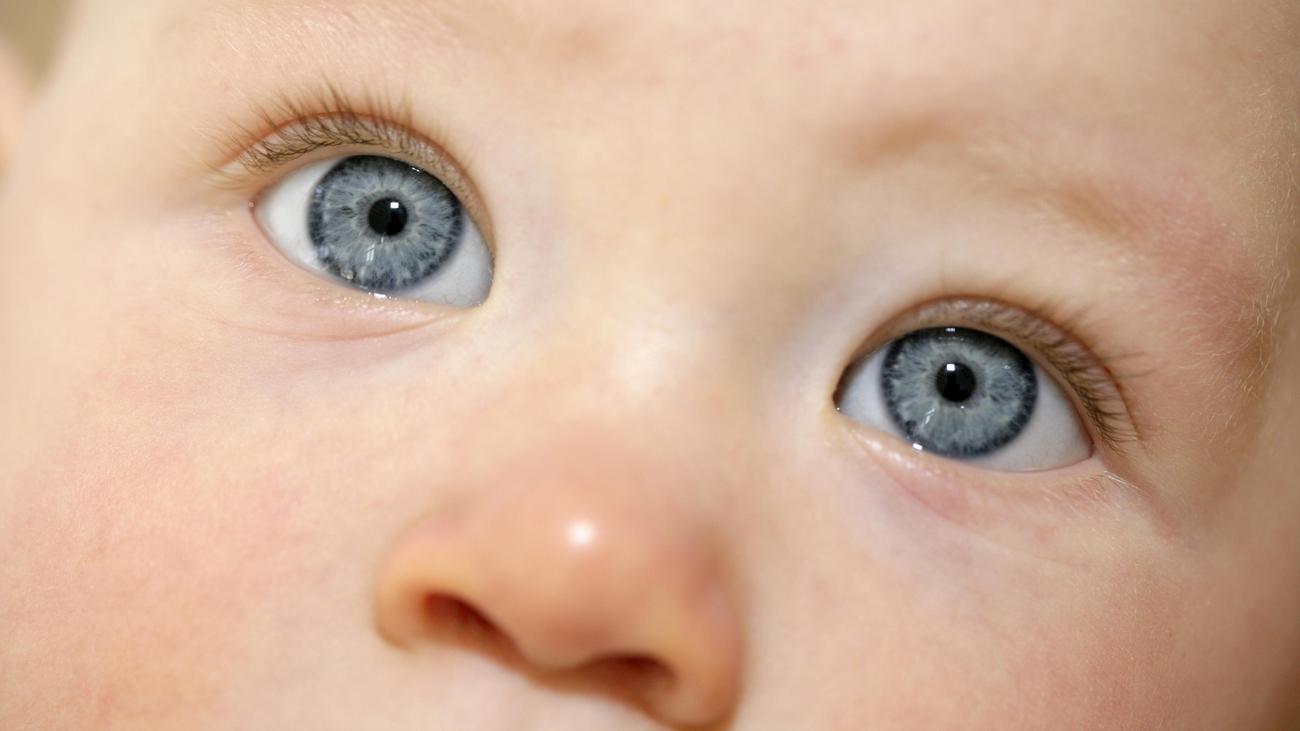 Surrogacy: 