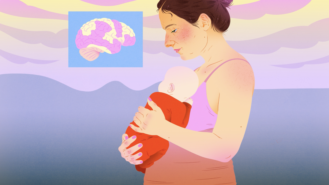 Zweite Schwangerschaft: Wie Kinder das Gehirn der Mutter umbauen