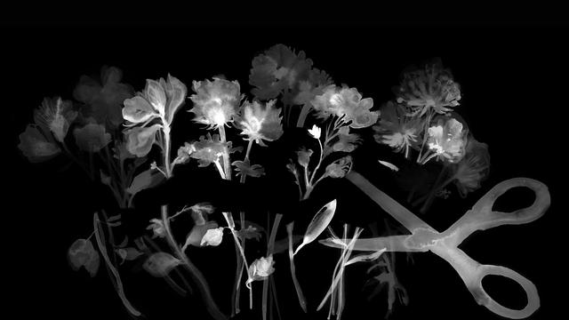 (+) Partha Dasgupta: 