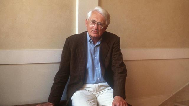 (+) Jürgen Habermas: Der DM-Nationalismus