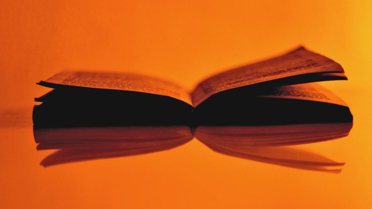 Deutscher Buchhandlungspreis: Waren diese Läden zu links?