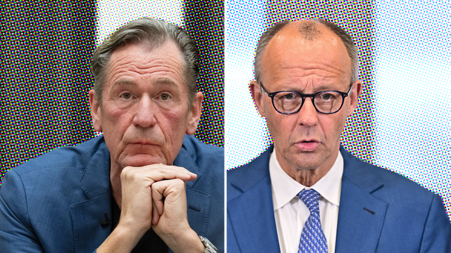 Mathias Döpfner und Friedrich Merz: »Aufgebauscht«