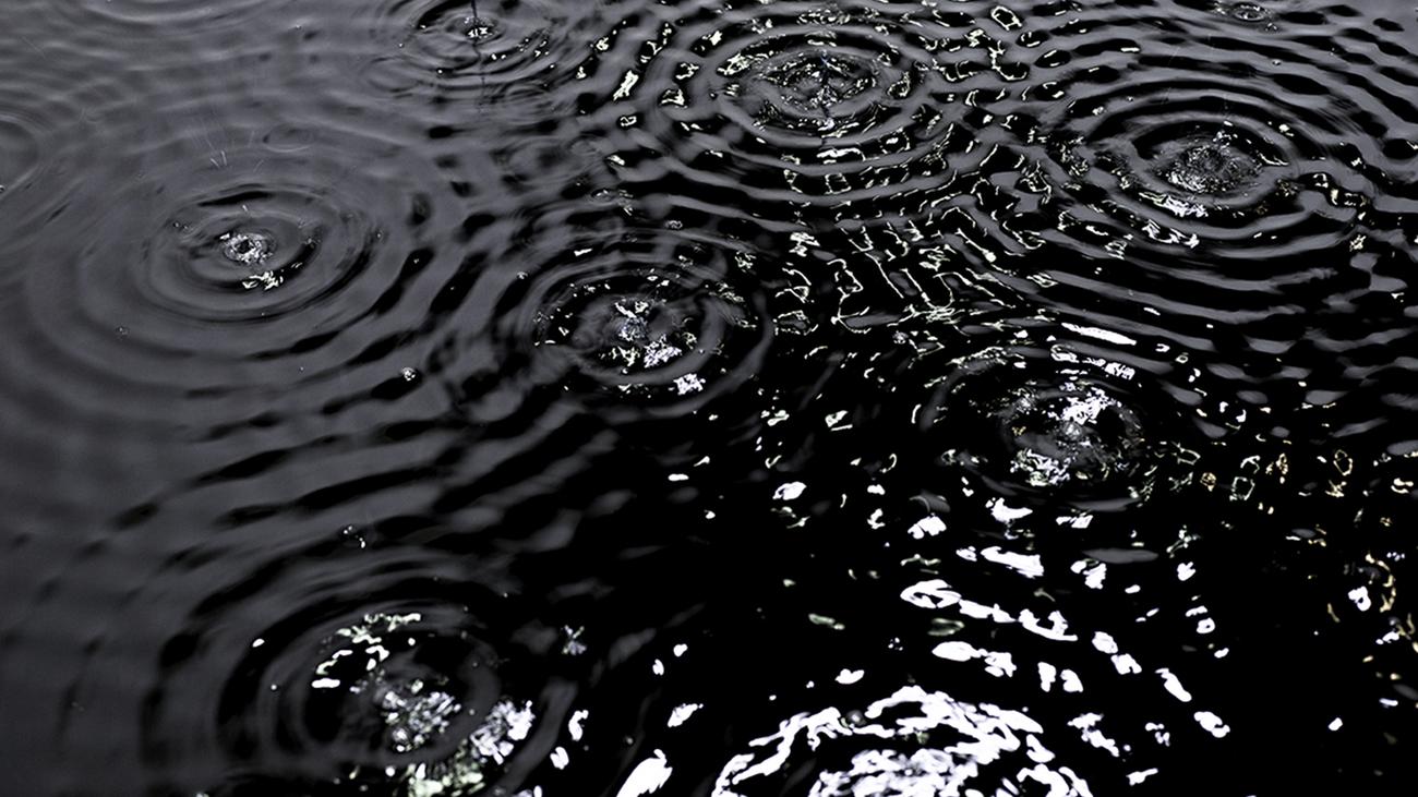 Biennale: »Dass sich das nach 80 Jahren wiederholt, ist für mich unglaublich«