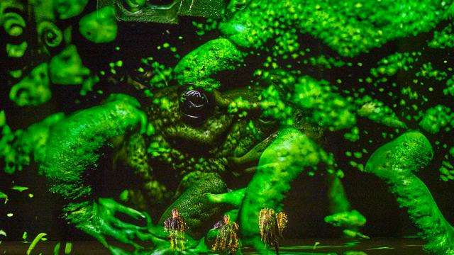 Bayreuther Festspiele: »Wer hat das denn gepromptet?!«, schimpft eine Zuschauerin