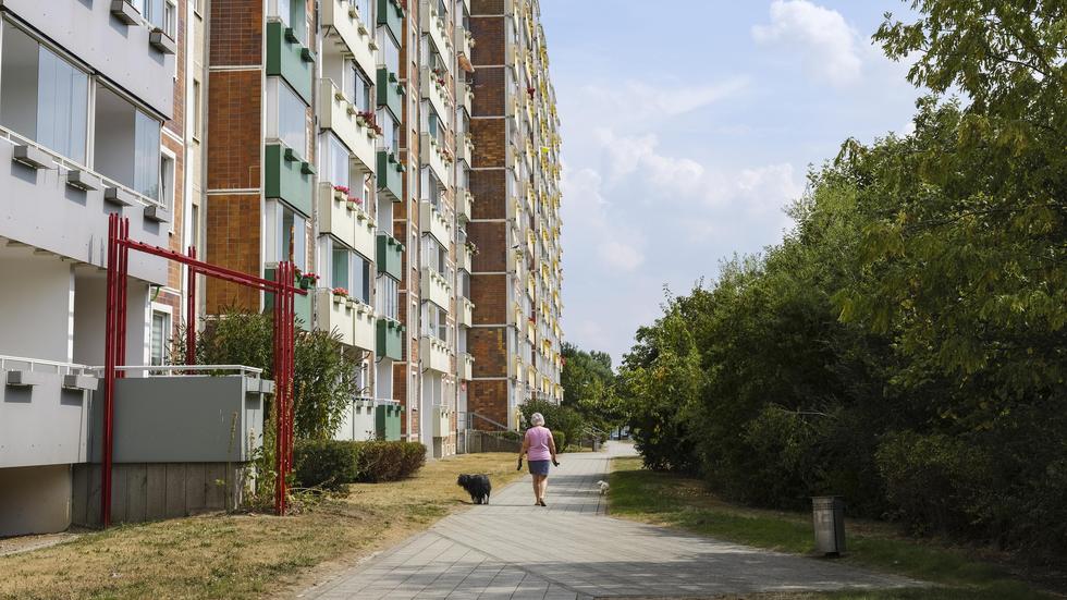 Rostock DeutschlandLichtenhagen ZEIT ONLINE