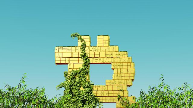 Kryptowährung: Darf's ein bisschen Bitcoin sein? Ja, aber …