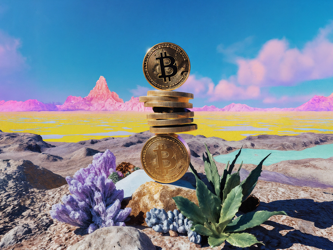 Kryptoanlage: Zur Million oder in den Keller? Wie weit Bitcoin noch steigen  kann | DIE ZEIT