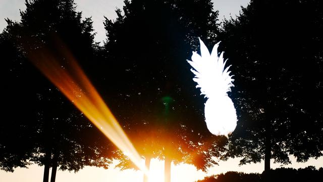 Aktienmarkt: Alle reden vom Crash. Sie reden von Chancen