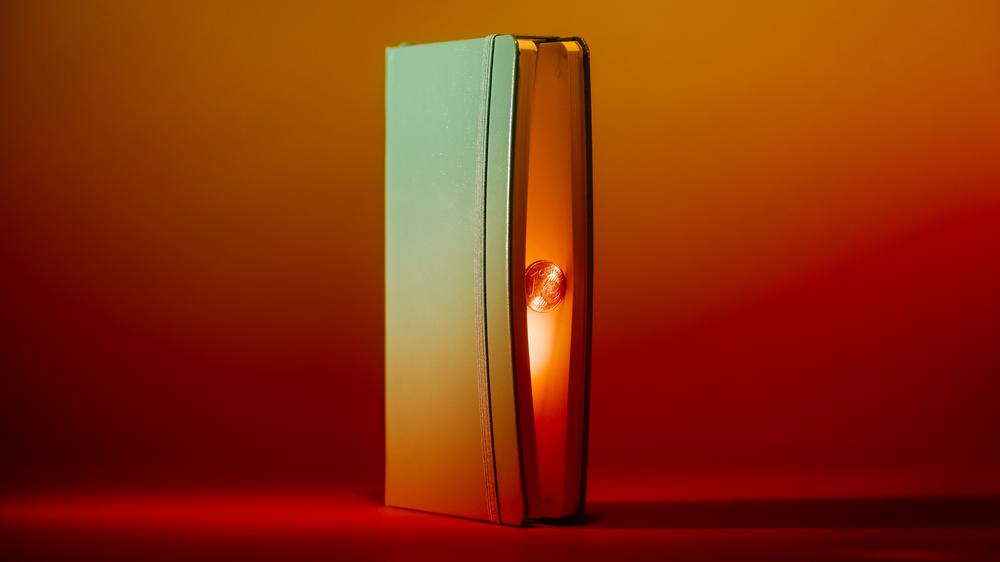 Saving money: What can I say: The budget book has catapulted me to a new level of awareness when it comes to money.