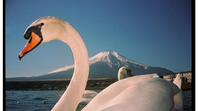 Parlamentswahl in Japan: Das Billionenrisiko für die Weltbörsen