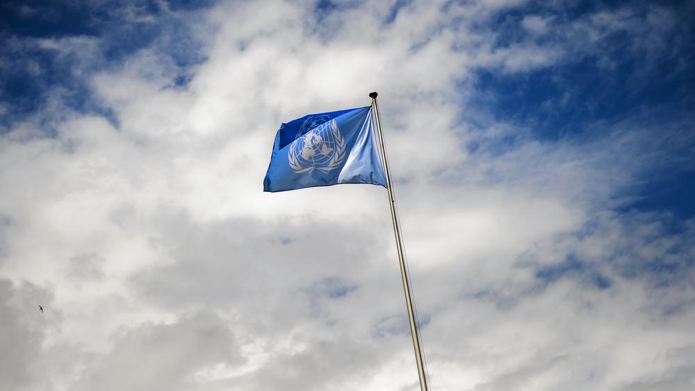 UN-Sonderermittler: Die Meinungsfreiheit dürfe nur im Einklang mit internationalem Recht beschränkt werden, heißt es in dem UN-Bericht.