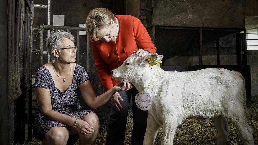 Niederlande Und Griechenland Werden Corona Radio Bamberg