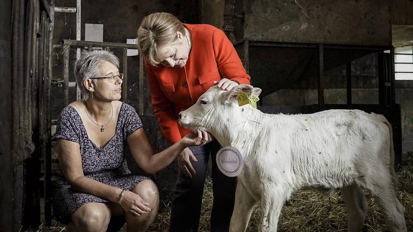 Niederlande Und Griechenland Werden Corona Radio Bamberg