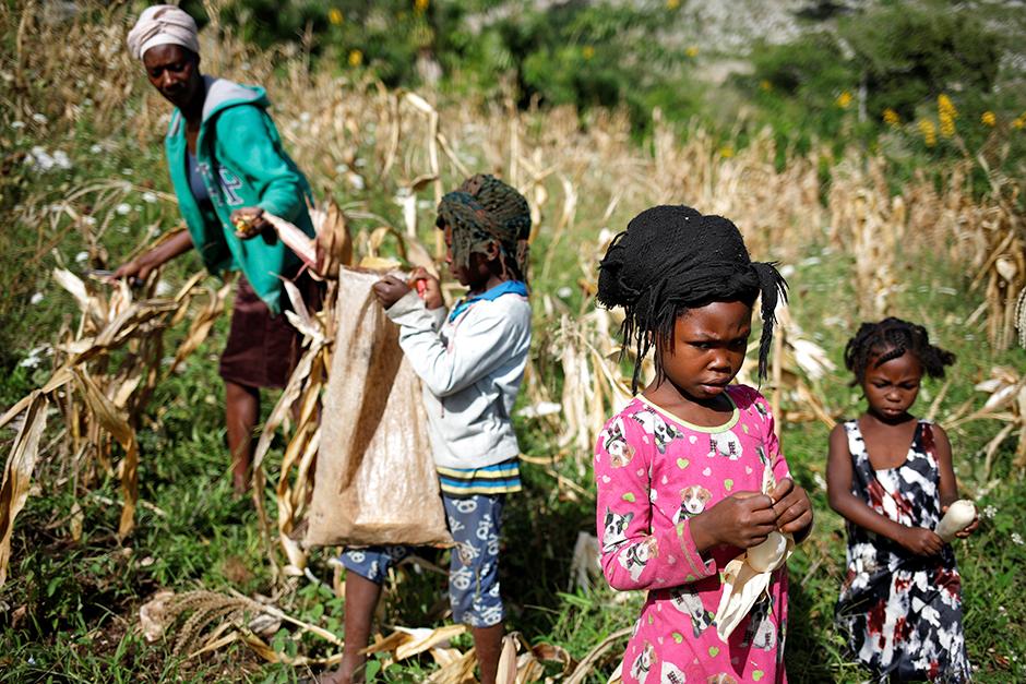 Frauen suchen männer in little haiti