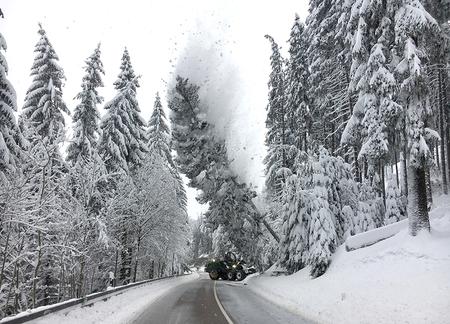 Winterwetter Eingeschneit Zeit Online