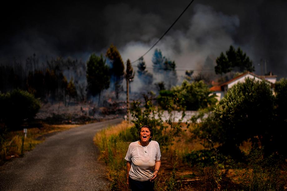 Waldbrände in Portugal: Eimer für Eimer gegen die Flammen | ZEIT ONLINE