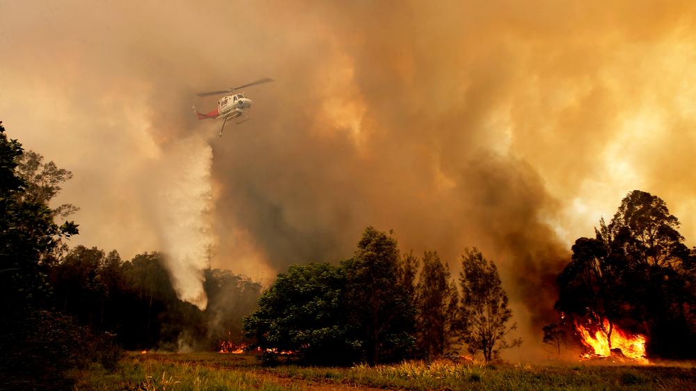 Buschfeuer: Einsatzkräfte kämpfen im australischen Bundesstaat New South Wales gegen die verheerenden Buschfeuer.