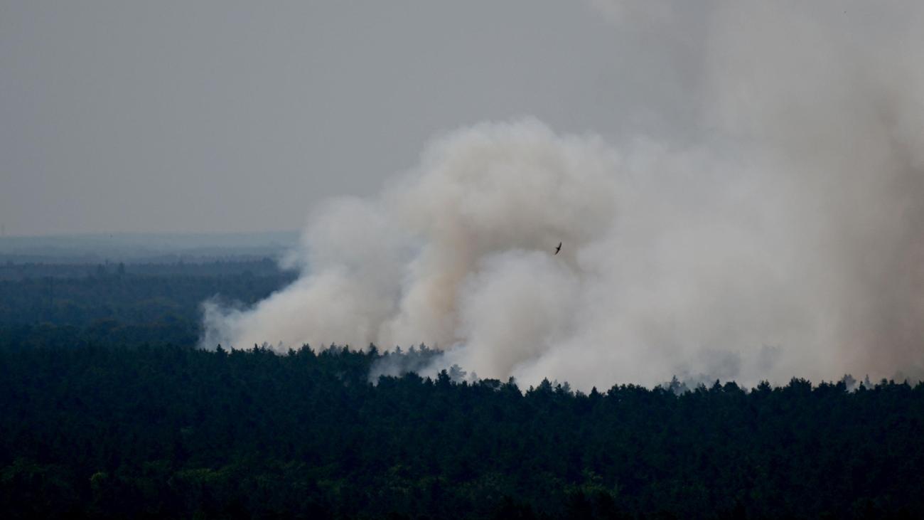 Berlin: Brand im Grunewald nicht über Sperrkreis ausgebreitet