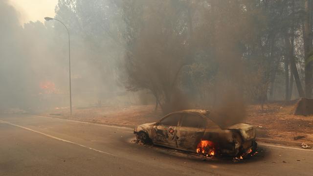 Hitzewelle: Mindestens 13 Tote durch Waldbrände in Chile