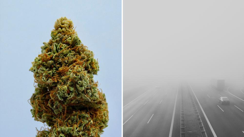 Cannabis in het verkeer: Auch künftig verguld: Wer Cannabis konsumiert hat, sollte besser nicht am Steuer sitzen.