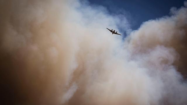 New Mexico: Mindestens ein Toter bei Waldbränden in den USA