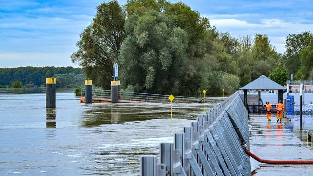 Hochwasser: Erste Pegelstände in Brandenburg sinken wieder