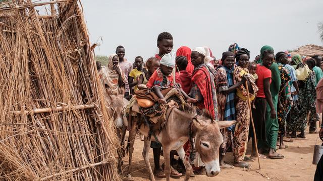 Bürgerkrieg: 14 Millionen Menschen laut IOM wegen Krieg im Sudan vertrieben