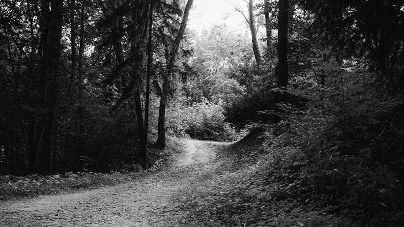 Doppelgängerinnen-Mord: Eine Doppelgängerin muss sterben | DIE ZEIT