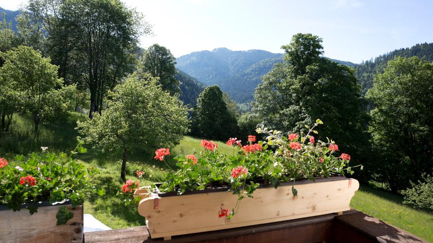 Mitarbeiterwohnungen: Blick vom Balkon, Tegernsee