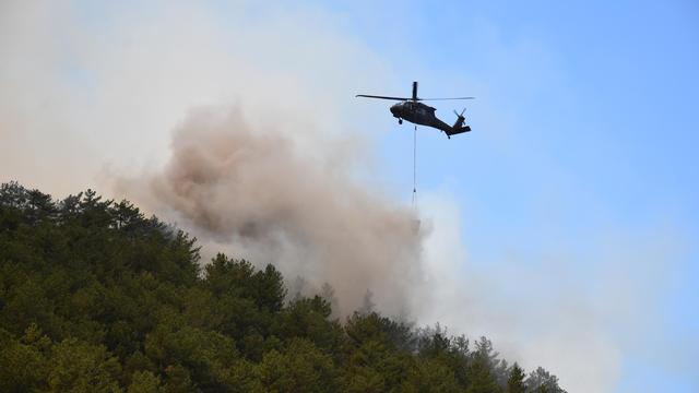 Eskişehir: Zehn Tote bei Waldbrand in der Türkei