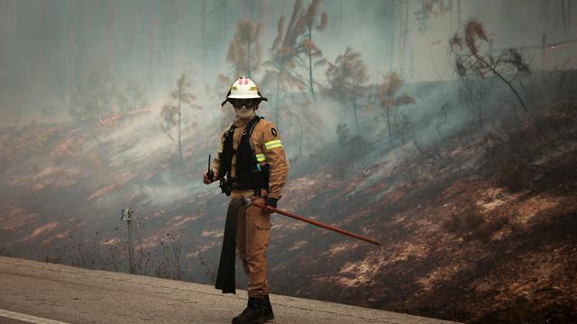 Waldbrände: Feuerwehr kämpft gegen Waldbrände in mehreren portugiesischen Regionen