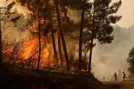 Waldbrände in Südeuropa: Anwohner und freiwillige Helfer versuchen einen Waldbrand zu löschen. 13/08/2025 Larouco, Spanien