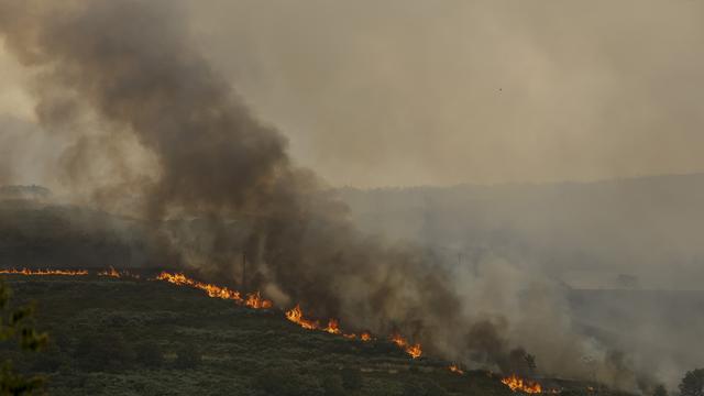 Waldbrände: Feuer in Spanien vernichten 30.000 Hektar Land binnen 24 Stunden