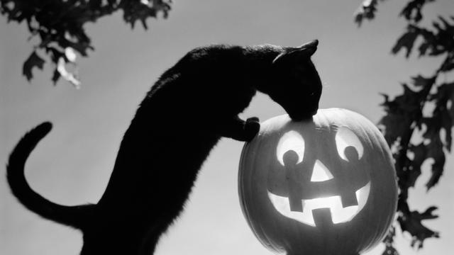 Halloween: Wer Halloween nicht mag, den holt der Butzemann